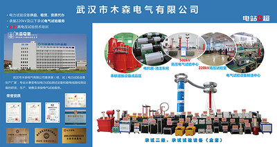 木森电气参加21年国际电力产业（武汉）展览会