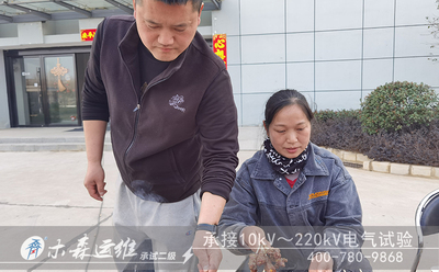 燃情三月,食不可挡,女神约会凤凰园,木森运维电力
