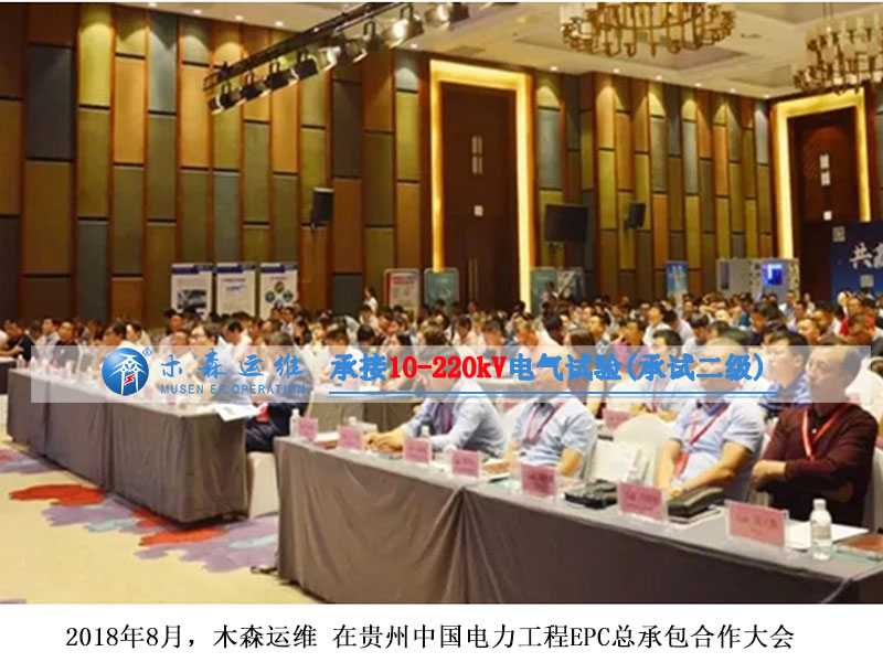 中国电力工程EPC大会专家讲坛