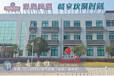 随州青岛啤酒-10kV配电室预防性试验